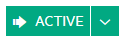 Active icon