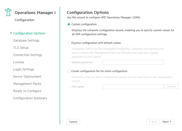 Configuration wizard: Configuration Options page