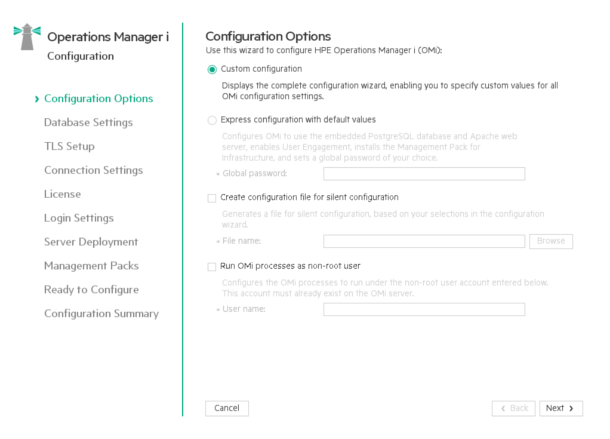 Configuration wizard: Configuration Options page