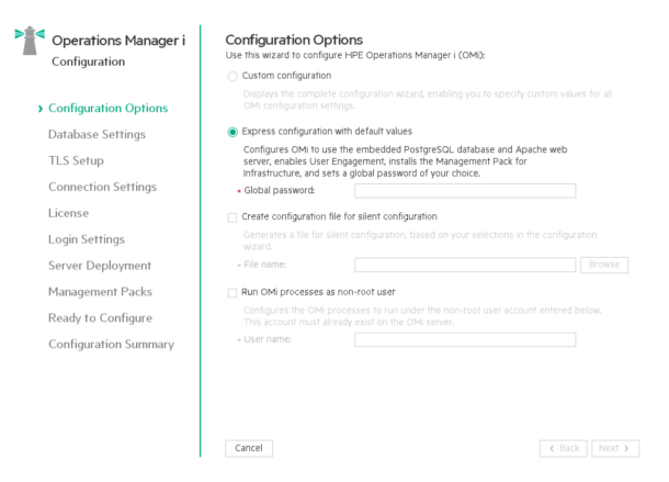 Configuration wizard: Configuration Options page
