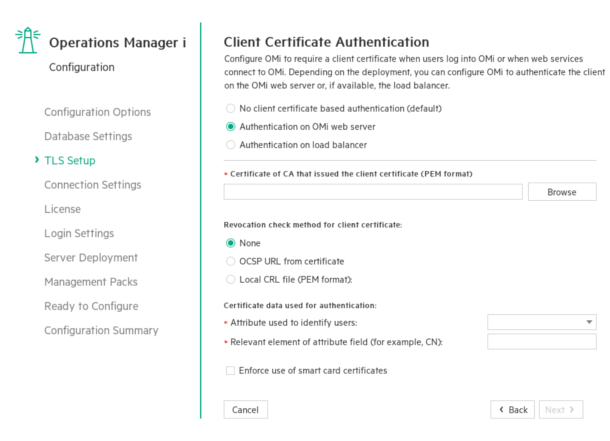 Configuration wizard: Client Certificate Authentication page