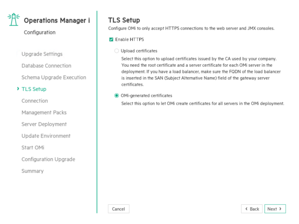 Upgrade wizard: TLS Setup page