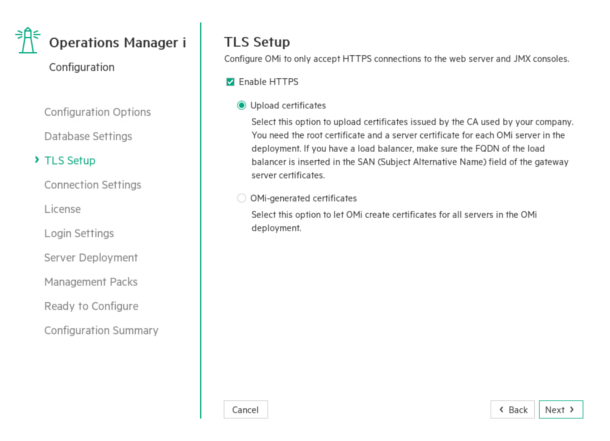 Configuration wizard: TLS Setup page