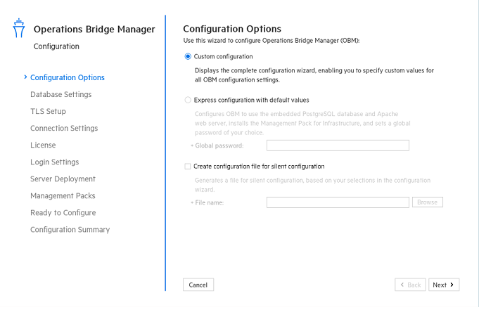 Configuration wizard: Configuration Options page