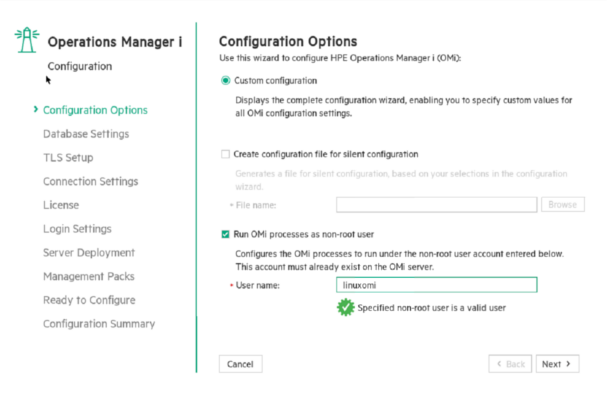 Configuration wizard: Configuration Options page