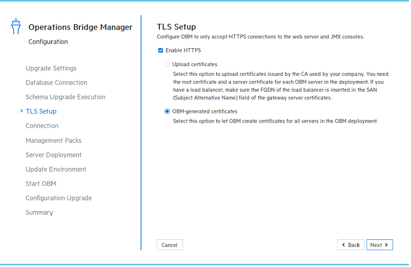 Upgrade wizard: TLS Setup page