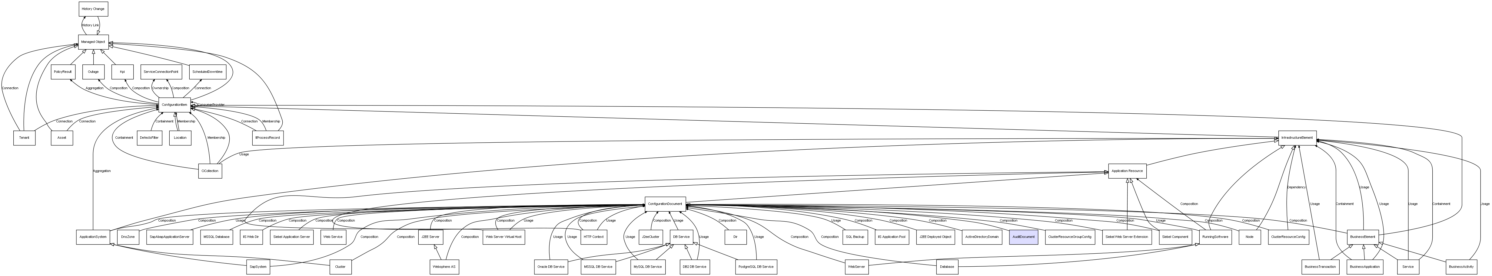 CI Class AuditDocument
